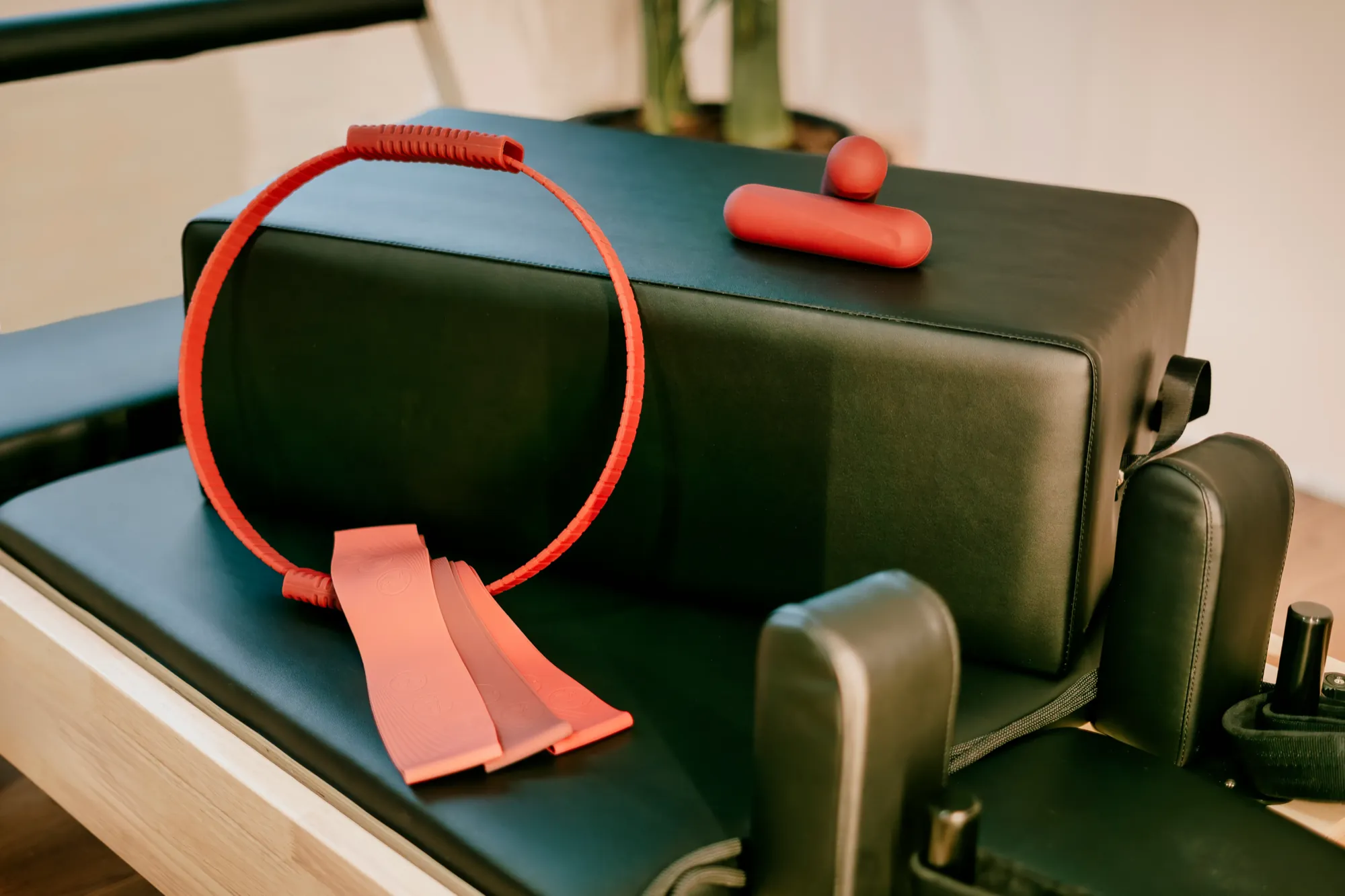 Pilates Equipment Detail 2